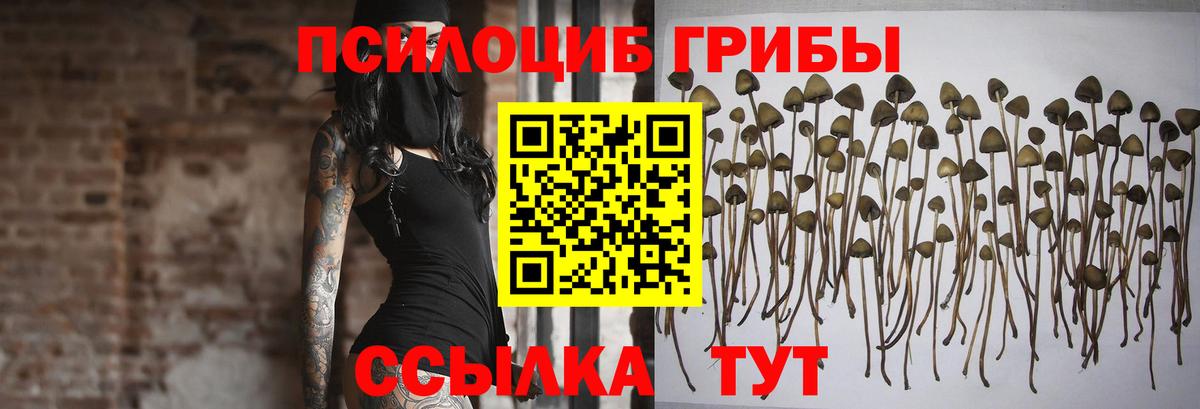 Псилоцибиновые грибы GOLDEN TEACHER  Вход с VPN  Новотроицк 