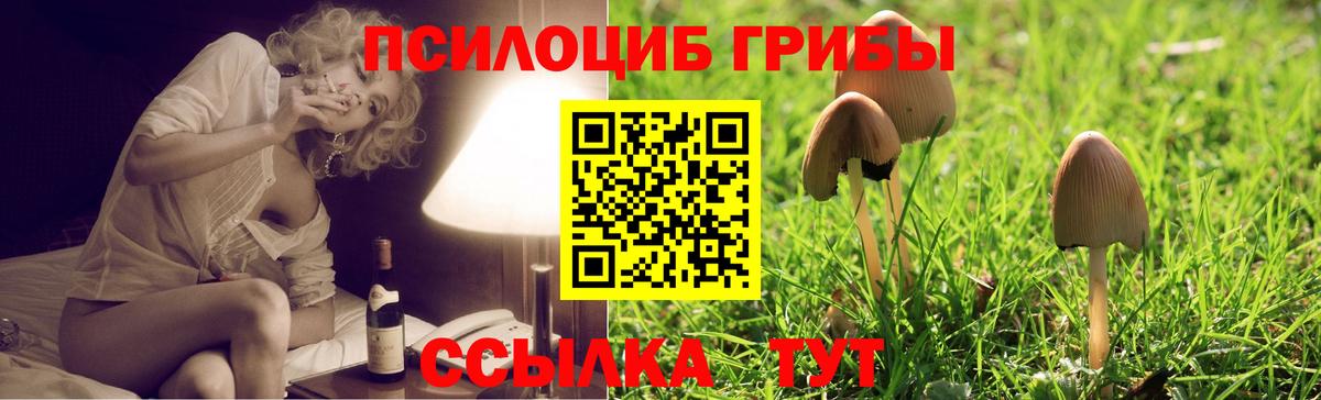 Галлюциногенные грибы мухоморы Новотроицк